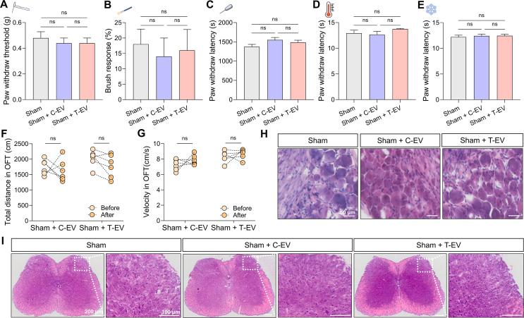 https://cdn.ncbi.nlm.nih.gov/pmc/blobs/a383/12313965/c0c53ce8d7d6/mmcfigs5.jpg