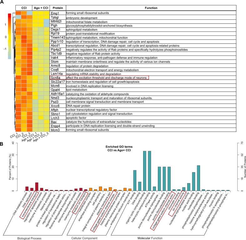 https://cdn.ncbi.nlm.nih.gov/pmc/blobs/a383/12313965/ca77978badcc/mmcfigs11.jpg