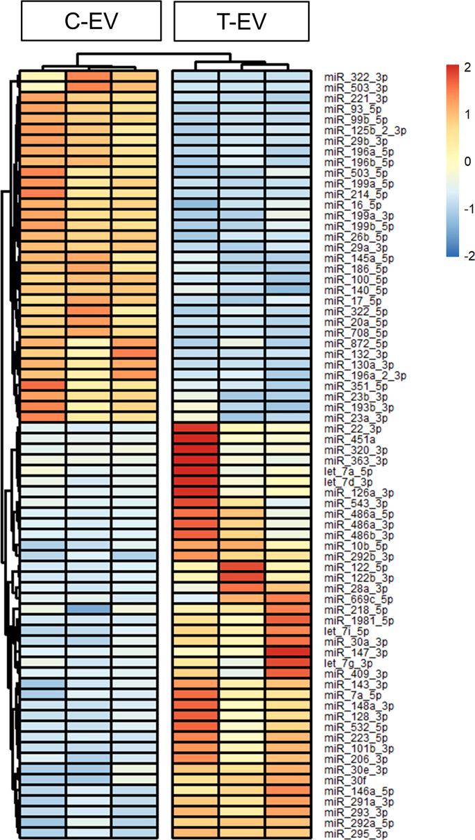 https://cdn.ncbi.nlm.nih.gov/pmc/blobs/a383/12313965/e12bb8807680/mmcfigs8.jpg