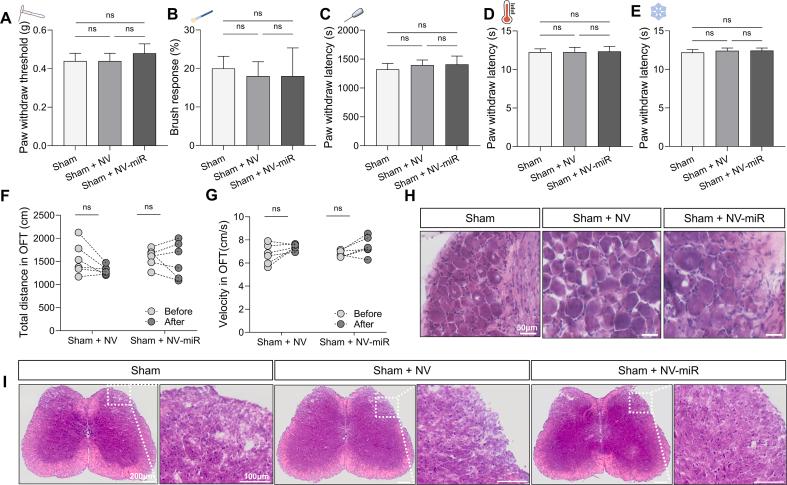 https://cdn.ncbi.nlm.nih.gov/pmc/blobs/a383/12313965/ecb8ff28d374/mmcfigs17.jpg