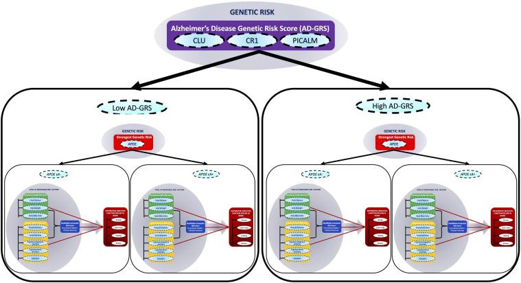 https://cdn.ncbi.nlm.nih.gov/pmc/blobs/a383/8482841/b40e46954c49/fnagi-13-621023-g001.jpg