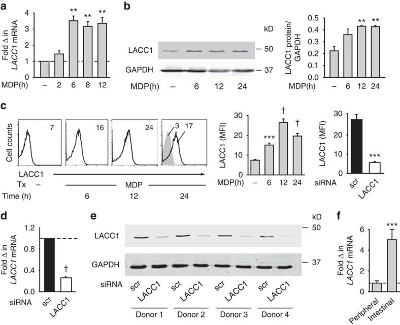 https://cdn.ncbi.nlm.nih.gov/pmc/blobs/a384/5472760/0bdf62440e6b/ncomms15614-f2.jpg