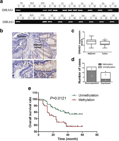 https://cdn.ncbi.nlm.nih.gov/pmc/blobs/a385/5424295/33c85a27fe9e/13148_2017_348_Fig2_HTML.jpg