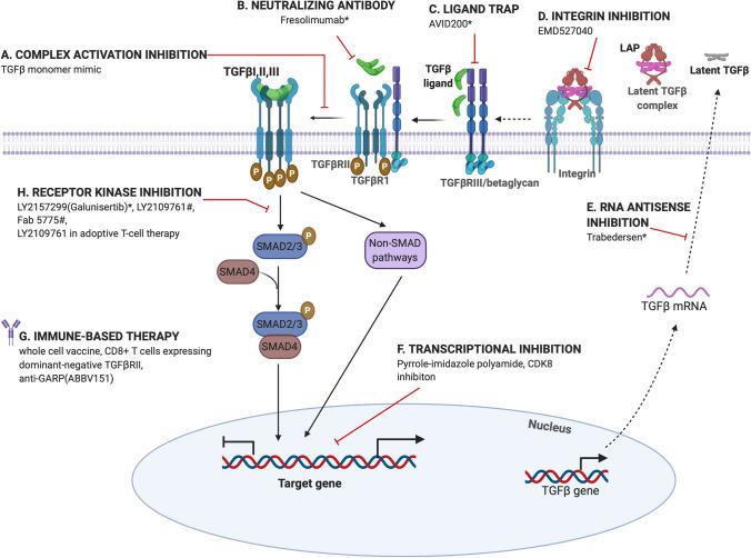 https://cdn.ncbi.nlm.nih.gov/pmc/blobs/a385/7987693/5278ef927488/10585_2021_10077_Fig4_HTML.jpg