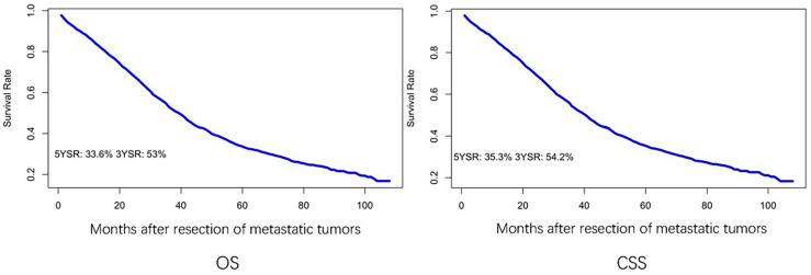 https://cdn.ncbi.nlm.nih.gov/pmc/blobs/a385/8964936/97382ea8a538/fonc-12-850937-g002.jpg