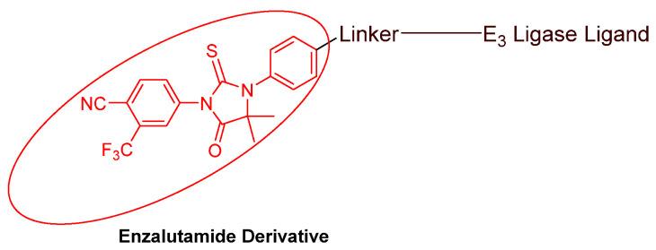https://cdn.ncbi.nlm.nih.gov/pmc/blobs/a387/10854644/03bc0a6f77f5/cancers-16-00663-g007.jpg