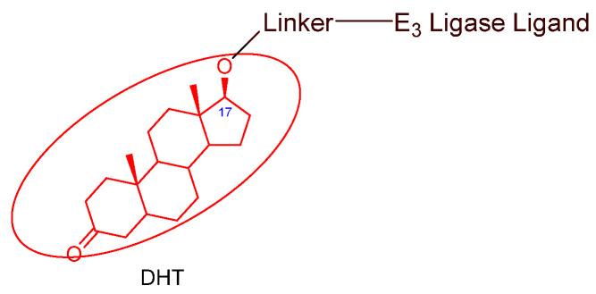 https://cdn.ncbi.nlm.nih.gov/pmc/blobs/a387/10854644/4aa58a517af6/cancers-16-00663-g005.jpg