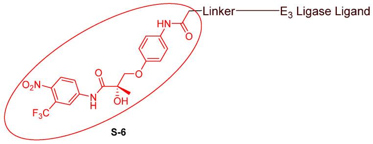 https://cdn.ncbi.nlm.nih.gov/pmc/blobs/a387/10854644/6c782e1bfe5a/cancers-16-00663-g006.jpg