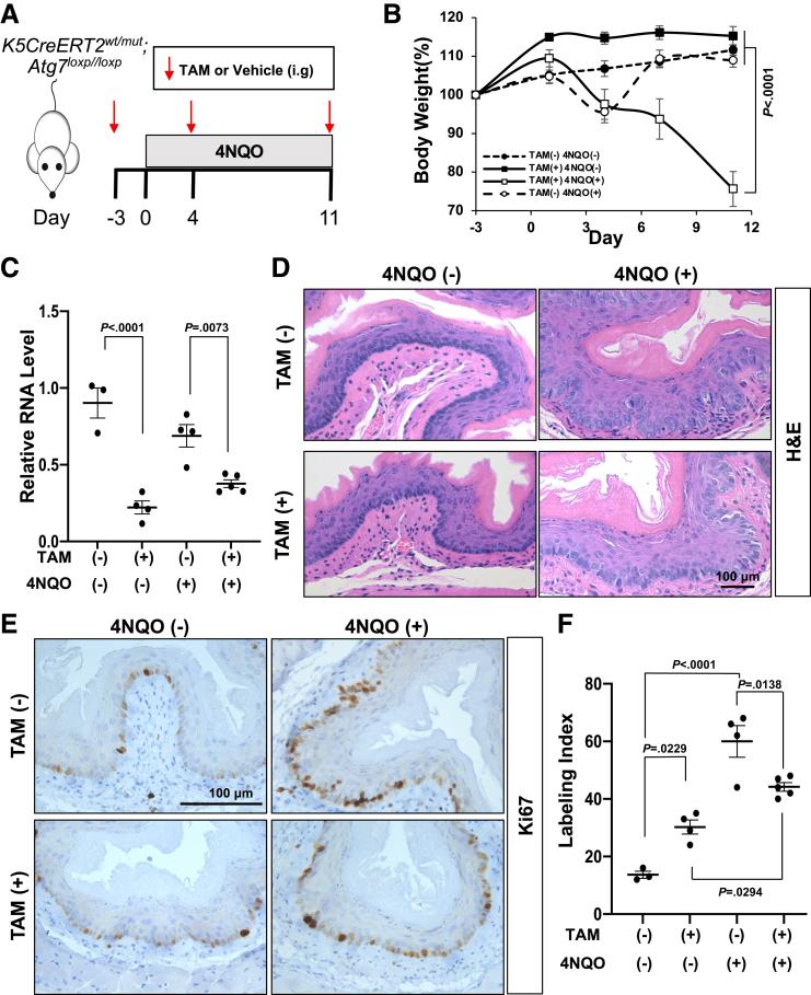 https://cdn.ncbi.nlm.nih.gov/pmc/blobs/a387/11126828/0e509f13c083/gr6.jpg