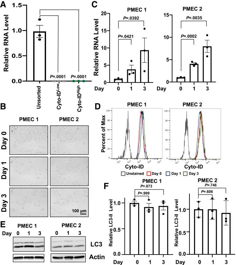 https://cdn.ncbi.nlm.nih.gov/pmc/blobs/a387/11126828/20b40e658b16/gr8.jpg