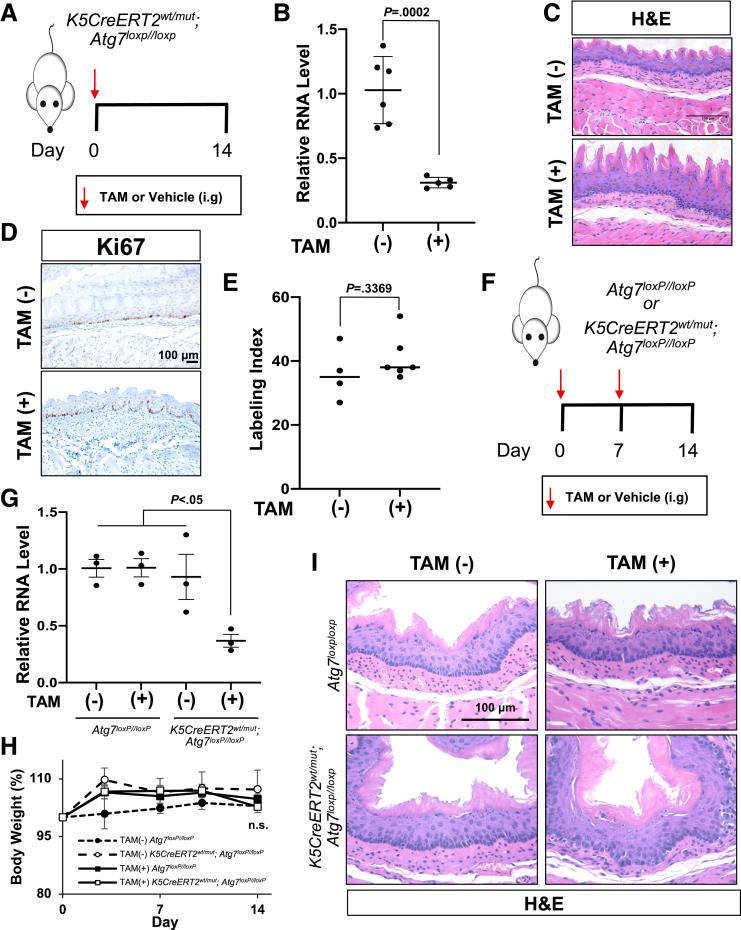 https://cdn.ncbi.nlm.nih.gov/pmc/blobs/a387/11126828/627468d0869c/gr2.jpg