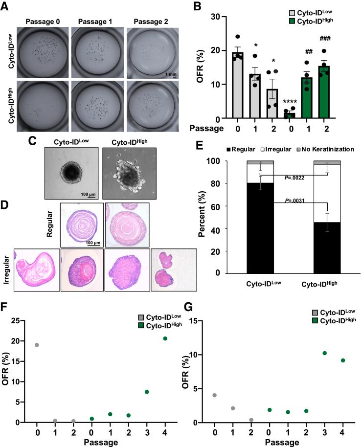 https://cdn.ncbi.nlm.nih.gov/pmc/blobs/a387/11126828/937ef06e6ba0/gr9.jpg