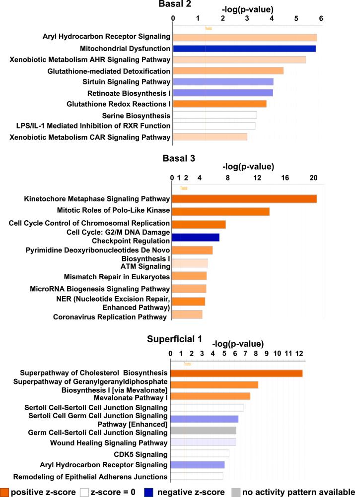 https://cdn.ncbi.nlm.nih.gov/pmc/blobs/a387/11126828/9d442cb6890f/gr13.jpg