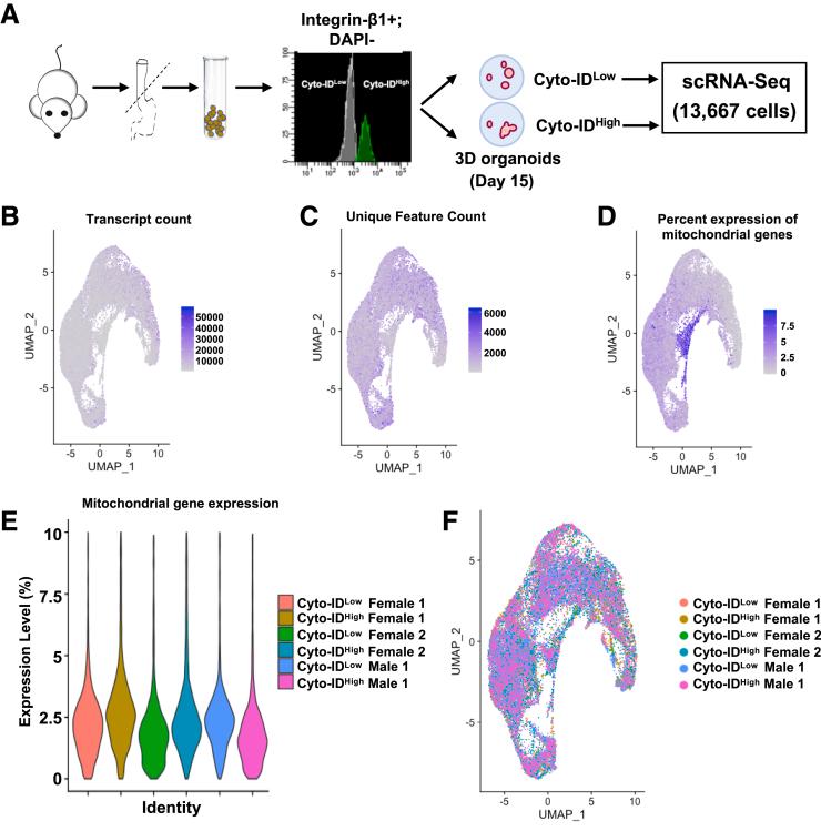 https://cdn.ncbi.nlm.nih.gov/pmc/blobs/a387/11126828/ced567692bb4/gr11.jpg