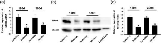 https://cdn.ncbi.nlm.nih.gov/pmc/blobs/a387/6587779/11c65c422e7d/MRD-86-63-g002.jpg