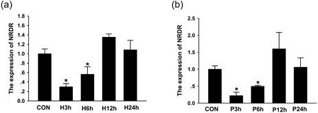 https://cdn.ncbi.nlm.nih.gov/pmc/blobs/a387/6587779/210e378cc63f/MRD-86-63-g006.jpg
