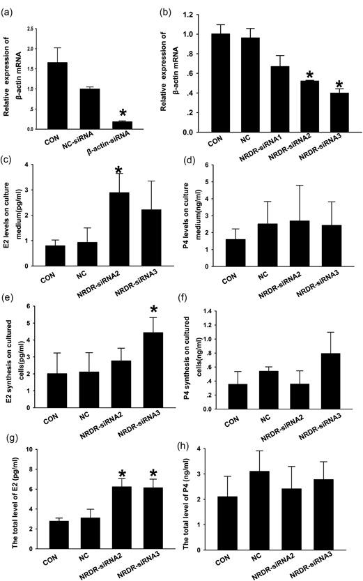 https://cdn.ncbi.nlm.nih.gov/pmc/blobs/a387/6587779/6ba7b5b42b0e/MRD-86-63-g003.jpg