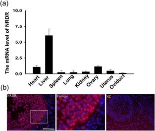 https://cdn.ncbi.nlm.nih.gov/pmc/blobs/a387/6587779/f172bb9f05df/MRD-86-63-g001.jpg