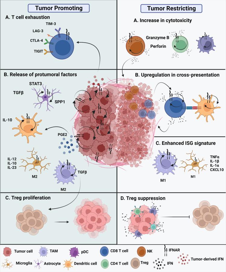 https://cdn.ncbi.nlm.nih.gov/pmc/blobs/a38a/10247981/8526d78312db/fimmu-14-1203929-g002.jpg
