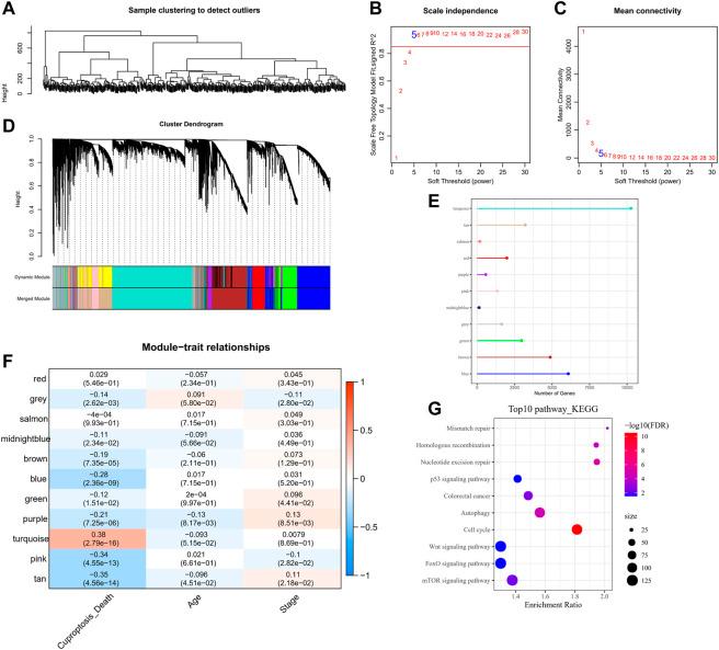 https://cdn.ncbi.nlm.nih.gov/pmc/blobs/a38a/10291194/b3637908ec40/fphar-14-1200054-g002.jpg