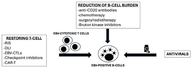 https://cdn.ncbi.nlm.nih.gov/pmc/blobs/a38b/12189535/114f4047936d/antibodies-14-00047-g001.jpg