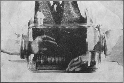 https://cdn.ncbi.nlm.nih.gov/pmc/blobs/a38b/1996356/18904a5f9b97/pubhealthreporig01965-0026-a.jpg