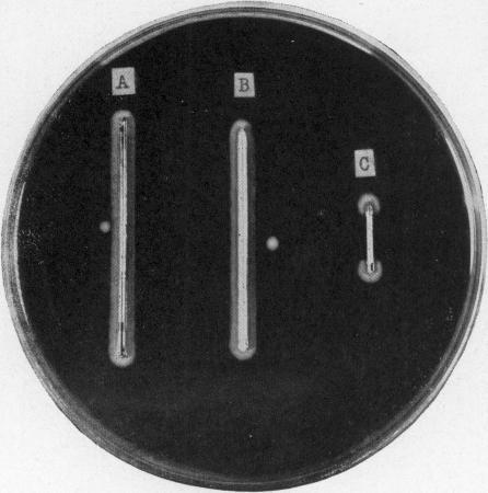 https://cdn.ncbi.nlm.nih.gov/pmc/blobs/a38b/1996356/abdc8d28ce3e/pubhealthreporig01965-0012-a.jpg