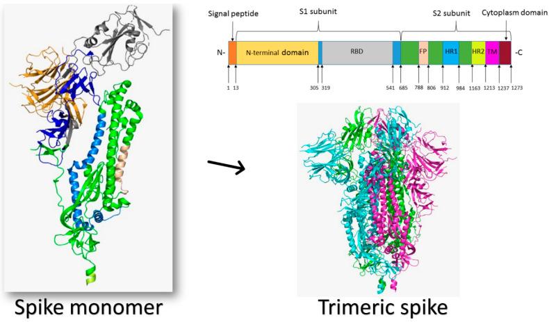 https://cdn.ncbi.nlm.nih.gov/pmc/blobs/a38d/8587140/17baed1487ea/molecules-26-06455-g001.jpg