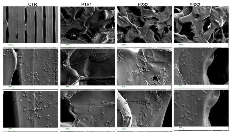 https://cdn.ncbi.nlm.nih.gov/pmc/blobs/a38e/10215619/d7a9a858645c/bioengineering-10-00567-g003.jpg