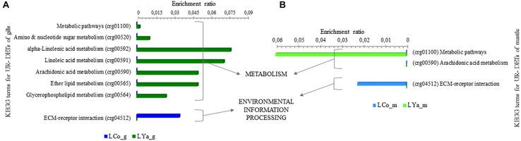 https://cdn.ncbi.nlm.nih.gov/pmc/blobs/a38f/8174845/2cf65f82cf82/fgene-12-666539-g007.jpg