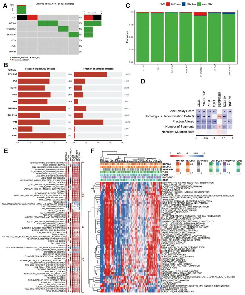 https://cdn.ncbi.nlm.nih.gov/pmc/blobs/a390/11466480/c2b27747b841/aging-16-206043-g005.jpg