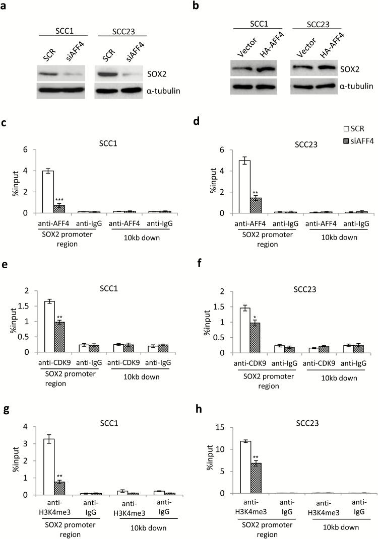 https://cdn.ncbi.nlm.nih.gov/pmc/blobs/a390/6031063/10baf28d0261/bgy04605.jpg