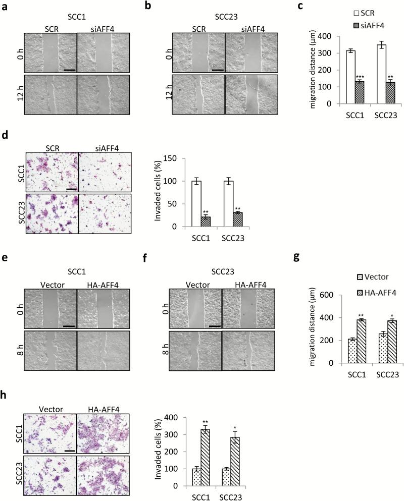 https://cdn.ncbi.nlm.nih.gov/pmc/blobs/a390/6031063/36d3c045f2de/bgy04604.jpg