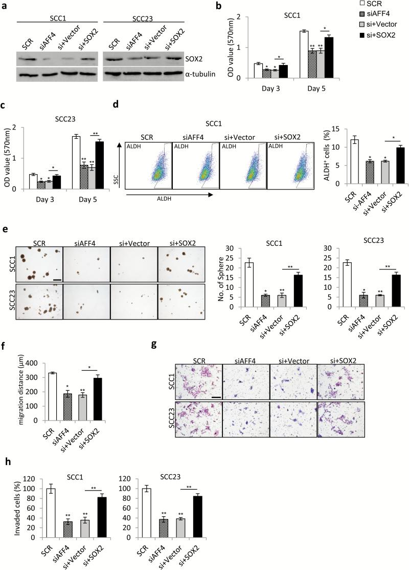 https://cdn.ncbi.nlm.nih.gov/pmc/blobs/a390/6031063/7abe47bfc081/bgy04606.jpg