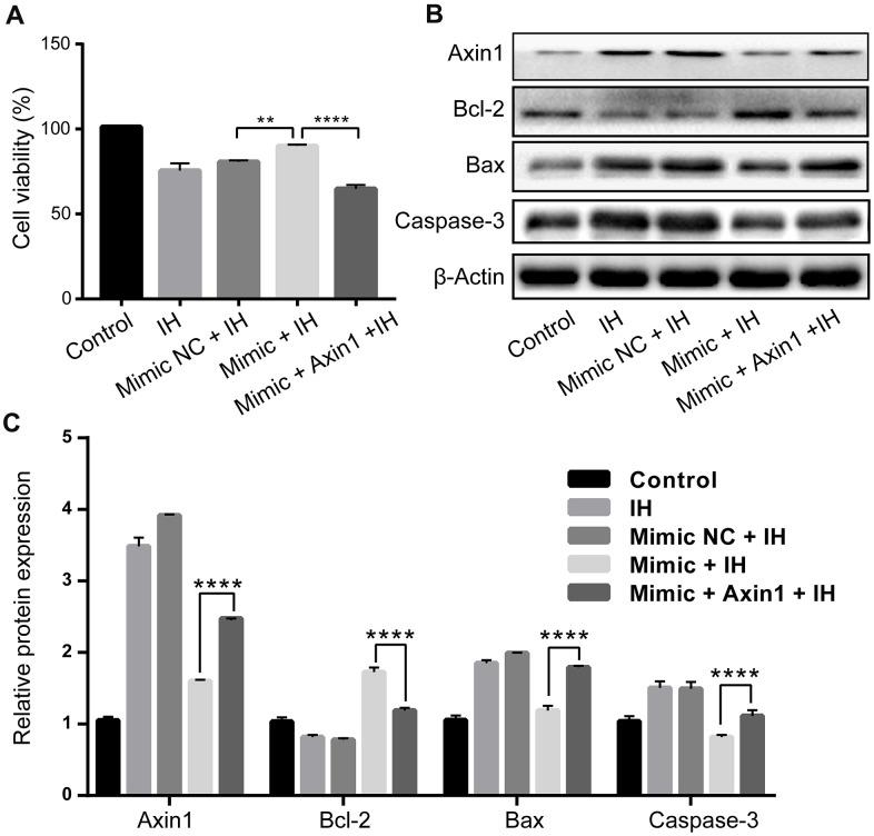 https://cdn.ncbi.nlm.nih.gov/pmc/blobs/a391/8034950/4e3b679c0a6c/aging-13-202480-g005.jpg