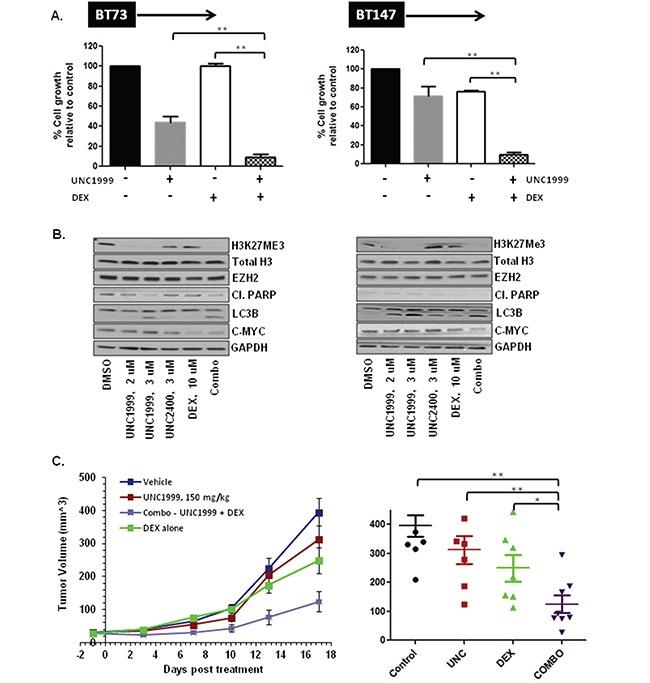 https://cdn.ncbi.nlm.nih.gov/pmc/blobs/a394/5312317/77a7c1aaac47/oncotarget-07-59360-g004.jpg