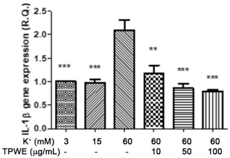 https://cdn.ncbi.nlm.nih.gov/pmc/blobs/a394/7793142/43faa61c9bb6/molecules-26-00022-g004.jpg
