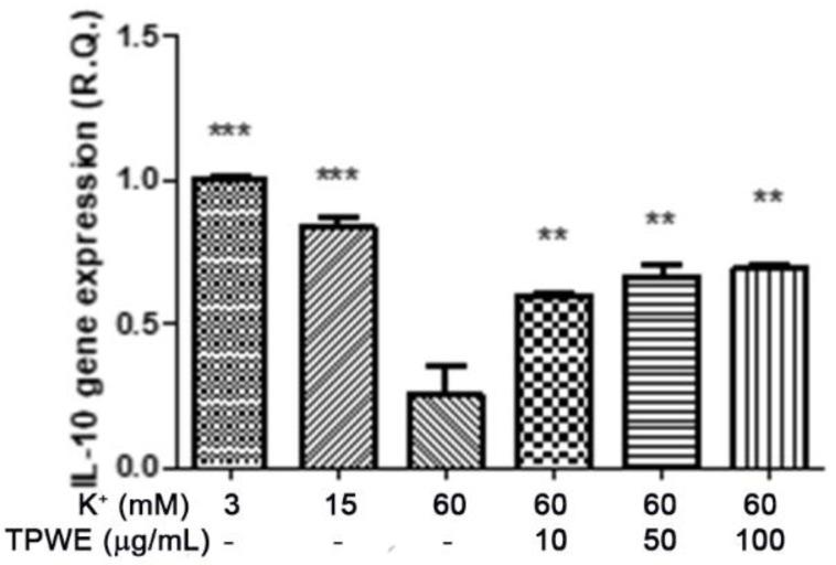 https://cdn.ncbi.nlm.nih.gov/pmc/blobs/a394/7793142/ddca4572750d/molecules-26-00022-g005.jpg