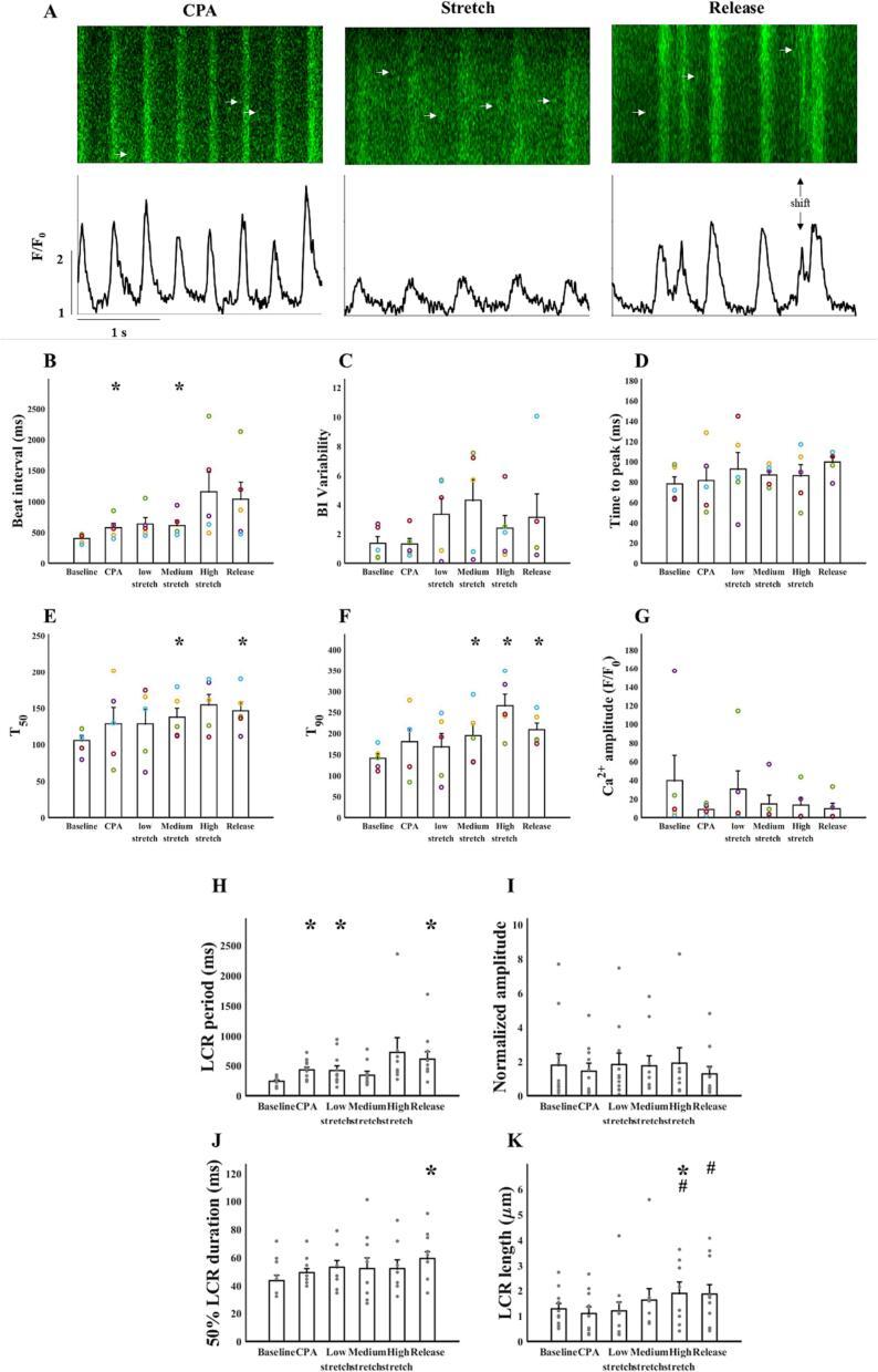 https://cdn.ncbi.nlm.nih.gov/pmc/blobs/a395/11708250/52a55907000e/gr7.jpg