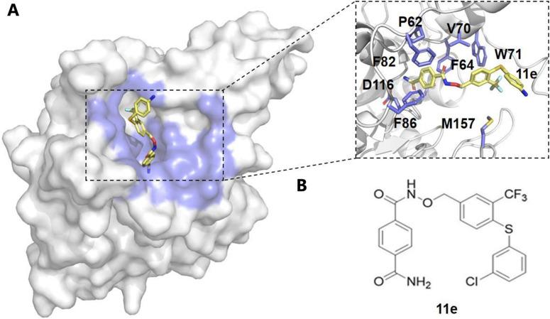 https://cdn.ncbi.nlm.nih.gov/pmc/blobs/a396/11963242/425ff5210341/d4cb00282b-f3.jpg