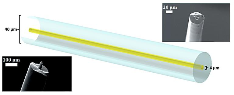 https://cdn.ncbi.nlm.nih.gov/pmc/blobs/a397/6631098/82a975f48b67/materials-12-01969-g002.jpg