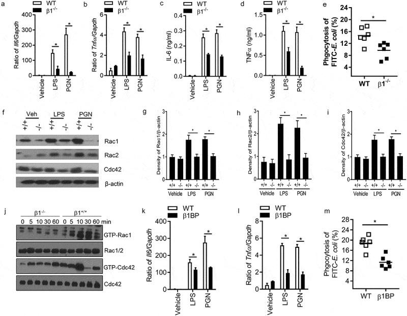https://cdn.ncbi.nlm.nih.gov/pmc/blobs/a398/7000207/5bd0f883e8d4/kvir-09-01-1528841-g004.jpg