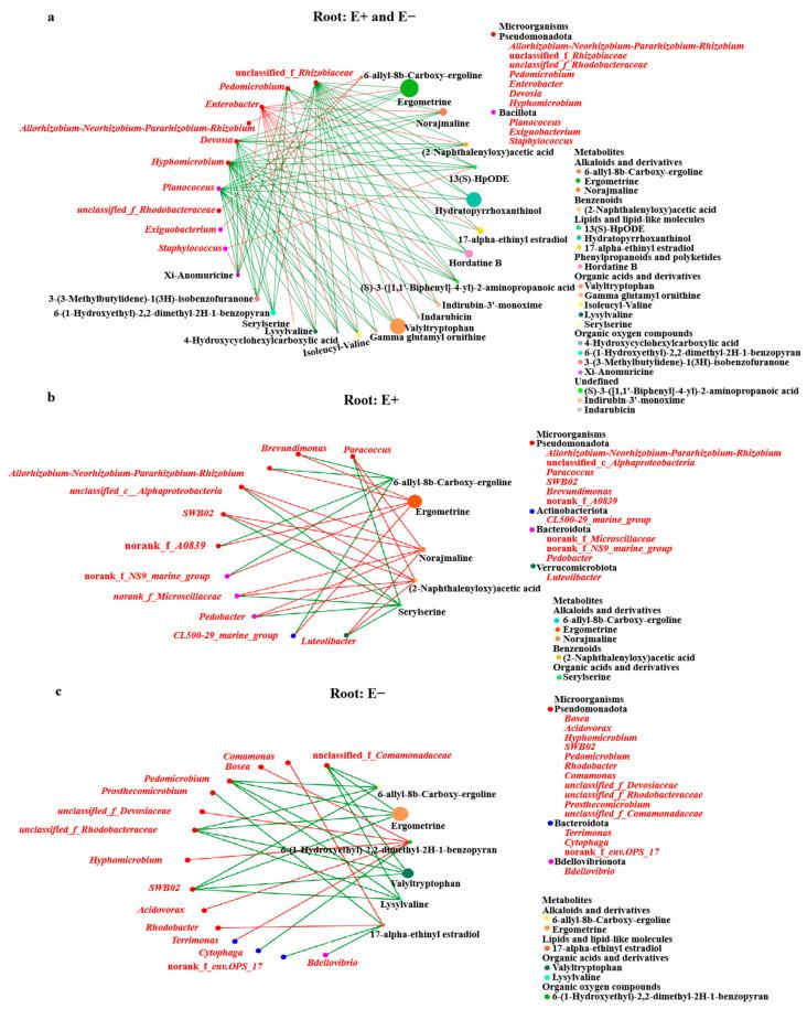 https://cdn.ncbi.nlm.nih.gov/pmc/blobs/a399/12300119/a6ce82eb73a6/microorganisms-13-01493-g007.jpg