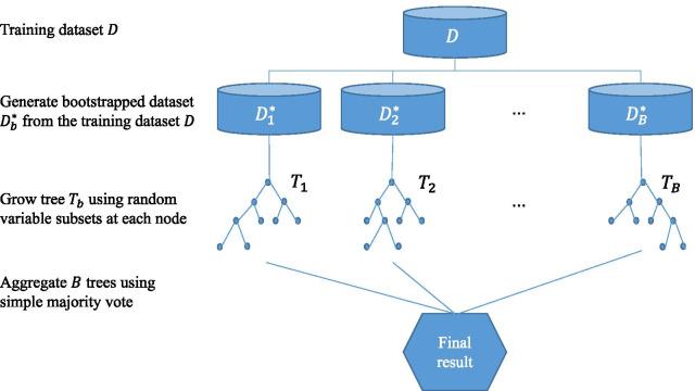 https://cdn.ncbi.nlm.nih.gov/pmc/blobs/a39a/8607560/8af178c41feb/12911_2021_1688_Fig1_HTML.jpg