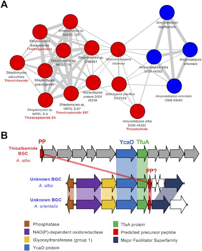 https://cdn.ncbi.nlm.nih.gov/pmc/blobs/a39b/6511847/512d40e60254/gkz192fig3.jpg