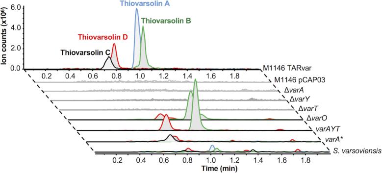 https://cdn.ncbi.nlm.nih.gov/pmc/blobs/a39b/6511847/a748eb22586b/gkz192fig6.jpg