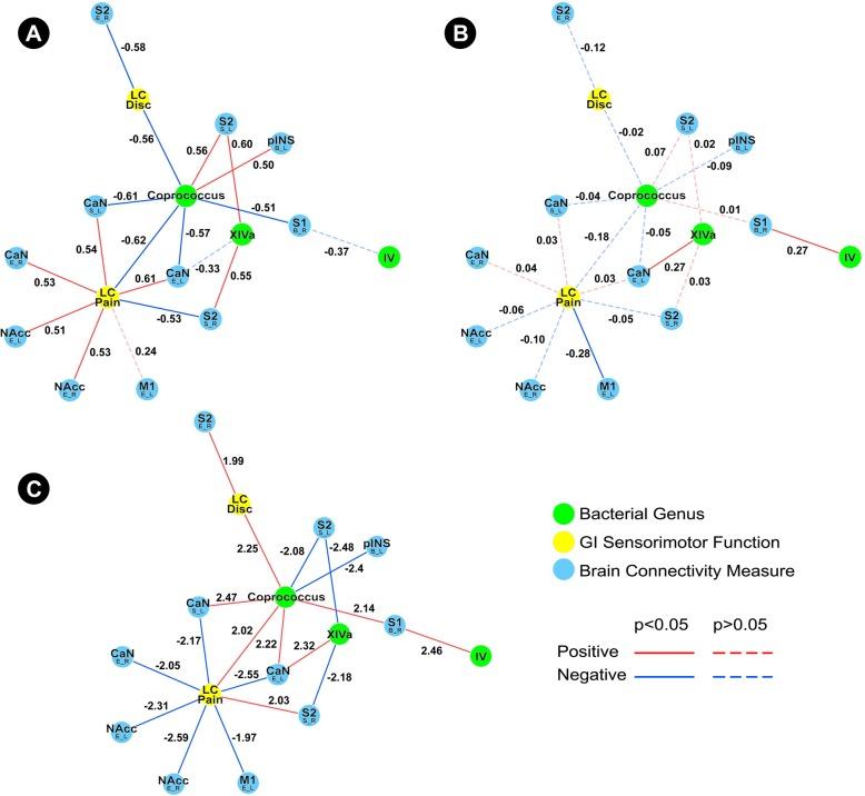 https://cdn.ncbi.nlm.nih.gov/pmc/blobs/a39d/6429755/1c220e551954/40168_2019_656_Fig3_HTML.jpg