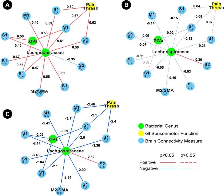 https://cdn.ncbi.nlm.nih.gov/pmc/blobs/a39d/6429755/f575c4b465df/40168_2019_656_Fig4_HTML.jpg