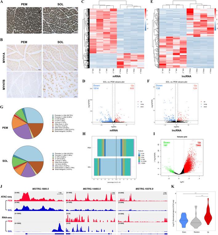 https://cdn.ncbi.nlm.nih.gov/pmc/blobs/a39e/10765903/030f367de85a/11658_2023_525_Fig1_HTML.jpg