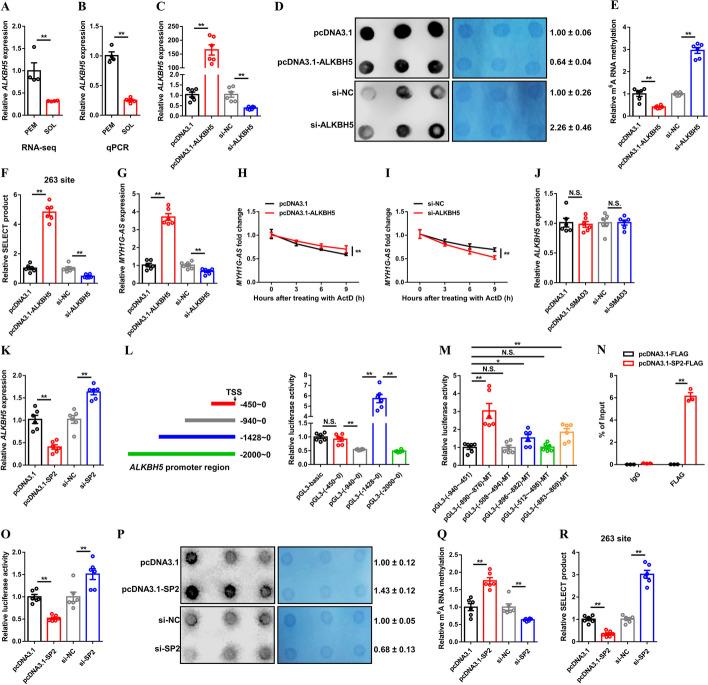 https://cdn.ncbi.nlm.nih.gov/pmc/blobs/a39e/10765903/20a7c5c05792/11658_2023_525_Fig3_HTML.jpg